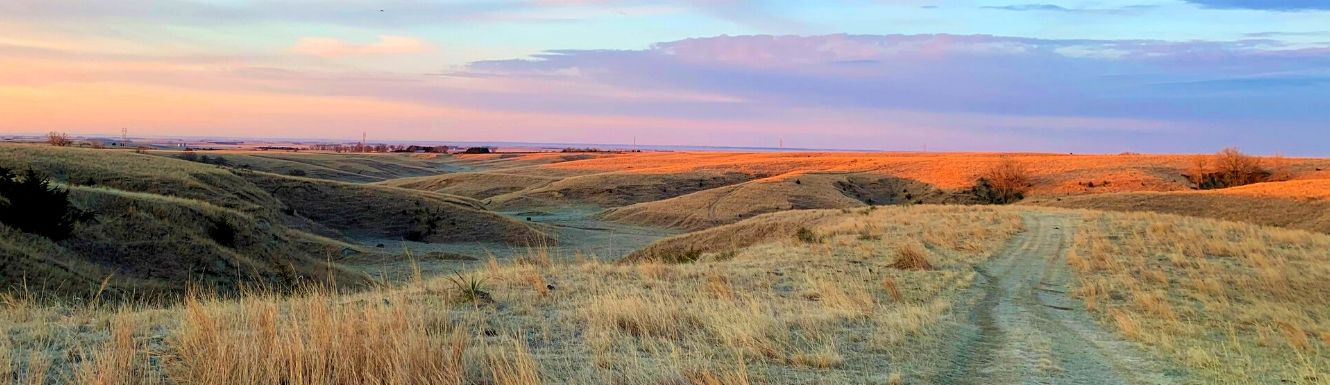 pasture land with dirt trail and setting sun in blue sky