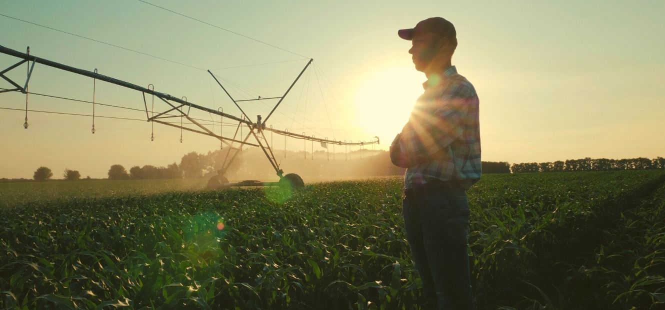 farmer standing in cornfield overlooking their pivot in the evening